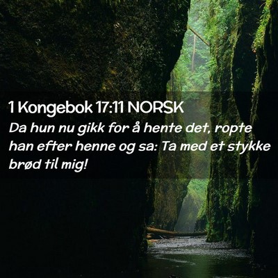Picture 02 - 1 Kongebok 17:11 NORSK - Da hun nu gikk for å hente det, ropte han efter - Bible Verse Picture