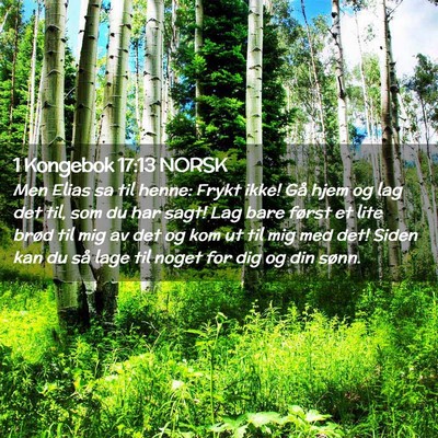 Picture 02 - 1 Kongebok 17:13 NORSK - Men Elias sa til henne: Frykt ikke! Gå hjem og - Bible Verse Picture