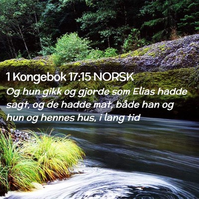 Picture 02 - 1 Kongebok 17:15 NORSK - Og hun gikk og gjorde som Elias hadde sagt, og de - Bible Verse Picture