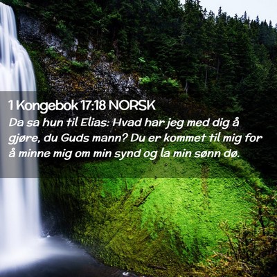 Picture 02 - 1 Kongebok 17:18 NORSK - Da sa hun til Elias: Hvad har jeg med dig å - Bible Verse Picture