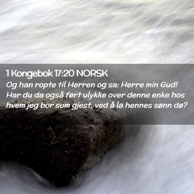 Picture 02 - 1 Kongebok 17:20 NORSK - Og han ropte til Herren og sa: Herre min Gud! Har - Bible Verse Picture