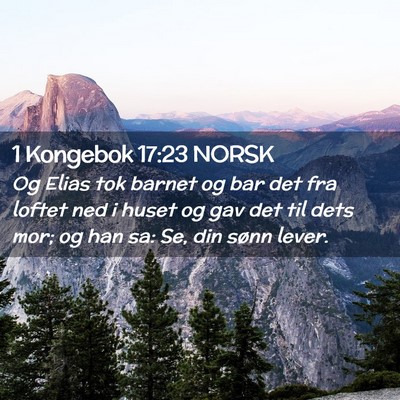 Picture 02 - 1 Kongebok 17:23 NORSK - Og Elias tok barnet og bar det fra loftet ned i - Bible Verse Picture