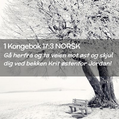 Picture 02 - 1 Kongebok 17:3 NORSK - Gå herfra og ta veien mot øst og skjul dig ved - Bible Verse Picture