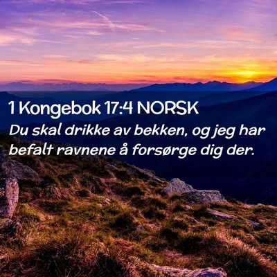 Picture 02 - 1 Kongebok 17:4 NORSK - Du skal drikke av bekken, og jeg har befalt - Bible Verse Picture