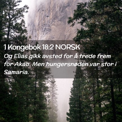 Picture 02 - 1 Kongebok 18:2 NORSK - Og Elias gikk avsted for å trede frem for Akab. - Bible Verse Picture