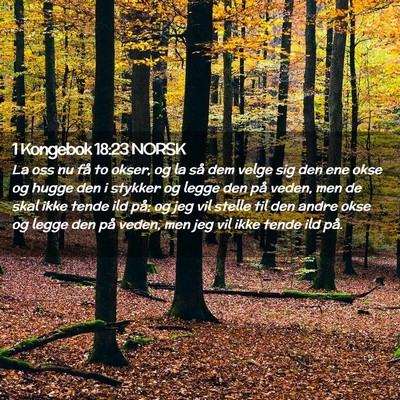 Picture 02 - 1 Kongebok 18:23 NORSK - La oss nu få to okser, og la så dem velge sig - Bible Verse Picture