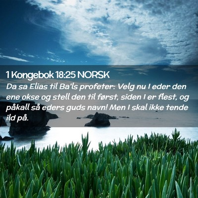 Picture 02 - 1 Kongebok 18:25 NORSK - Da sa Elias til Ba'ls profeter: Velg nu I eder - Bible Verse Picture
