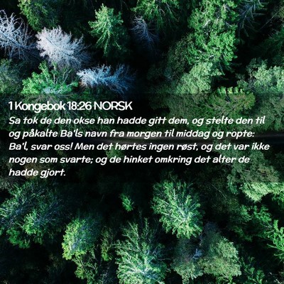 Picture 02 - 1 Kongebok 18:26 NORSK - Sa tok de den okse han hadde gitt dem, og stelte - Bible Verse Picture