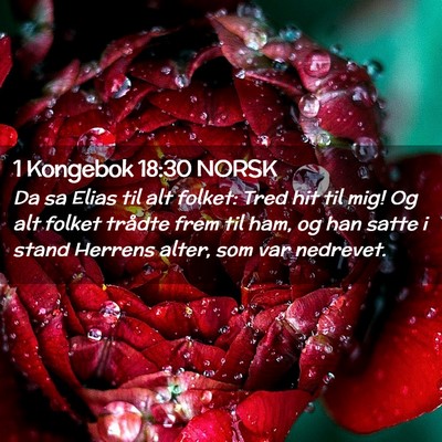 Picture 02 - 1 Kongebok 18:30 NORSK - Da sa Elias til alt folket: Tred hit til mig! Og - Bible Verse Picture