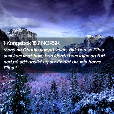 Picture 02 - 1 Kongebok 18:7 NORSK - Mens nu Obadja var på veien, fikk han se Elias - Bible Verse Picture