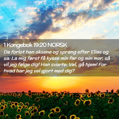 Picture 02 - 1 Kongebok 19:20 NORSK - Da forlot han oksene og sprang efter Elias og sa: - Bible Verse Picture