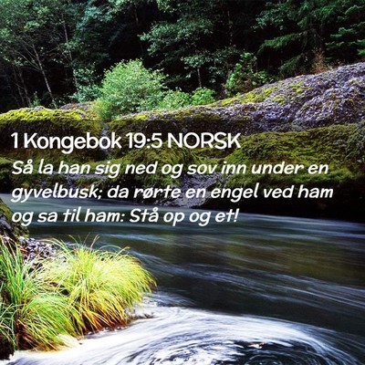 Picture 02 - 1 Kongebok 19:5 NORSK - Så la han sig ned og sov inn under en gyvelbusk; - Bible Verse Picture