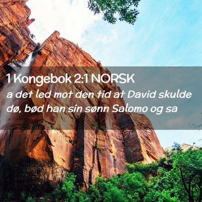 Picture 02 - 1 Kongebok 2:1 NORSK - a det led mot den tid at David skulde dø, bød - Bible Verse Picture
