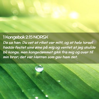 Picture 02 - 1 Kongebok 2:15 NORSK - Da sa han: Du vet at riket var mitt, og at hele - Bible Verse Picture