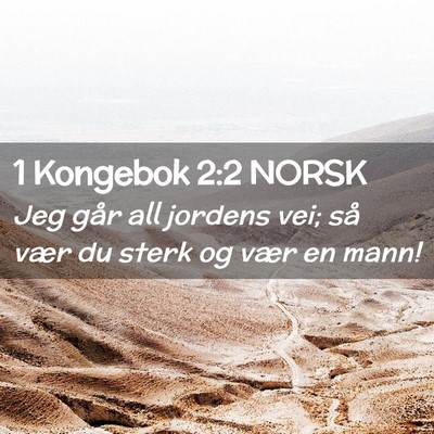 Picture 02 - 1 Kongebok 2:2 NORSK - Jeg går all jordens vei; så vær du sterk og - Bible Verse Picture