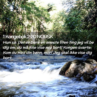 Picture 02 - 1 Kongebok 2:20 NORSK - Hun sa: Det er bare en eneste liten ting jeg vil - Bible Verse Picture