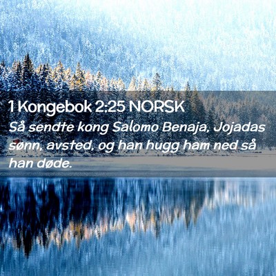 Picture 02 - 1 Kongebok 2:25 NORSK - Så sendte kong Salomo Benaja, Jojadas sønn, - Bible Verse Picture