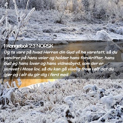 Picture 02 - 1 Kongebok 2:3 NORSK - Og ta vare på hvad Herren din Gud vil ha - Bible Verse Picture