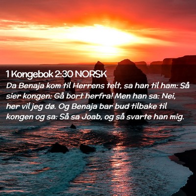 Picture 02 - 1 Kongebok 2:30 NORSK - Da Benaja kom til Herrens telt, sa han til ham: - Bible Verse Picture