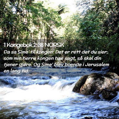 Picture 02 - 1 Kongebok 2:38 NORSK - Da sa Sime' til kongen: Det er rett det du sier; - Bible Verse Picture