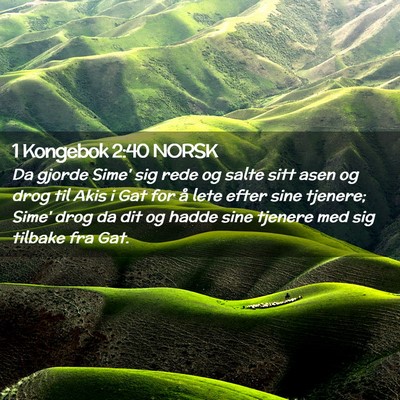 Picture 02 - 1 Kongebok 2:40 NORSK - Da gjorde Sime' sig rede og salte sitt asen og - Bible Verse Picture