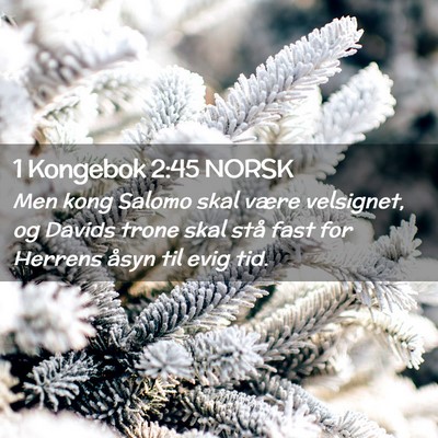 Picture 02 - 1 Kongebok 2:45 NORSK - Men kong Salomo skal være velsignet, og Davids - Bible Verse Picture