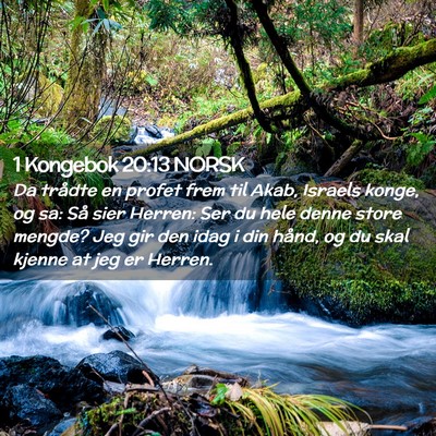 Picture 02 - 1 Kongebok 20:13 NORSK - Da trådte en profet frem til Akab, Israels - Bible Verse Picture