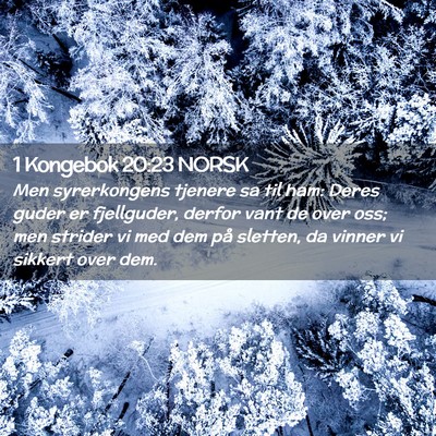 Picture 02 - 1 Kongebok 20:23 NORSK - Men syrerkongens tjenere sa til ham: Deres guder - Bible Verse Picture