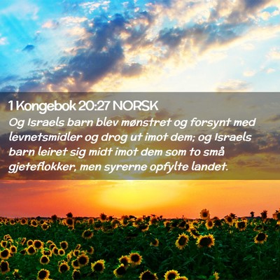 Picture 02 - 1 Kongebok 20:27 NORSK - Og Israels barn blev mønstret og forsynt med - Bible Verse Picture