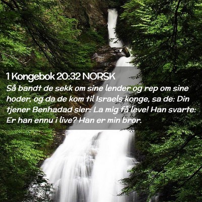 Picture 02 - 1 Kongebok 20:32 NORSK - Så bandt de sekk om sine lender og rep om sine - Bible Verse Picture
