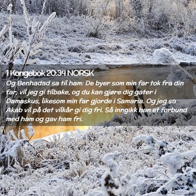 Picture 02 - 1 Kongebok 20:34 NORSK - Og Benhadad sa til ham: De byer som min far tok - Bible Verse Picture