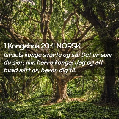 Picture 02 - 1 Kongebok 20:4 NORSK - Israels konge svarte og sa: Det er som du sier, - Bible Verse Picture
