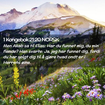 Picture 02 - 1 Kongebok 21:20 NORSK - Men Akab sa til Elias: Har du funnet mig, du min - Bible Verse Picture