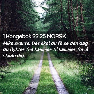 Picture 02 - 1 Kongebok 22:25 NORSK - Mika svarte: Det skal du få se den dag du - Bible Verse Picture
