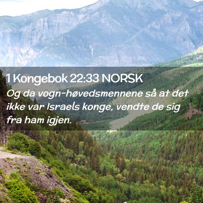 Picture 02 - 1 Kongebok 22:33 NORSK - Og da vogn-høvedsmennene så at det ikke var - Bible Verse Picture
