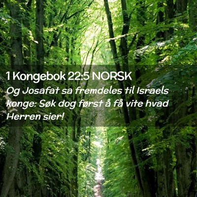 Picture 02 - 1 Kongebok 22:5 NORSK - Og Josafat sa fremdeles til Israels konge: Søk - Bible Verse Picture