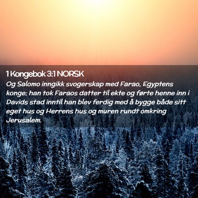 Picture 02 - 1 Kongebok 3:1 NORSK - Og Salomo inngikk svogerskap med Farao, Egyptens - Bible Verse Picture