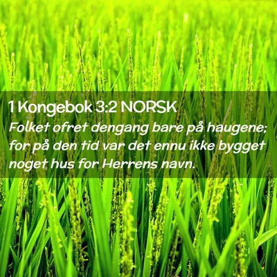 Picture 02 - 1 Kongebok 3:2 NORSK - Folket ofret dengang bare på haugene; for på - Bible Verse Picture