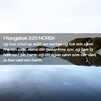 Picture 02 - 1 Kongebok 3:20 NORSK - og hun stod op midt om natten og tok min sønn - Bible Verse Picture
