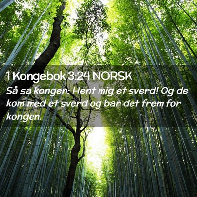 Picture 02 - 1 Kongebok 3:24 NORSK - Så sa kongen: Hent mig et sverd! Og de kom med - Bible Verse Picture