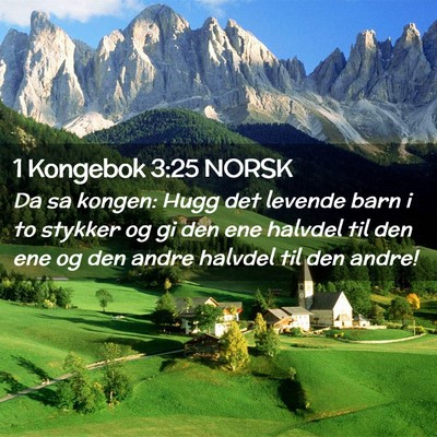 Picture 02 - 1 Kongebok 3:25 NORSK - Da sa kongen: Hugg det levende barn i to stykker - Bible Verse Picture