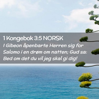 Picture 02 - 1 Kongebok 3:5 NORSK - I Gibeon åpenbarte Herren sig for Salomo i en - Bible Verse Picture
