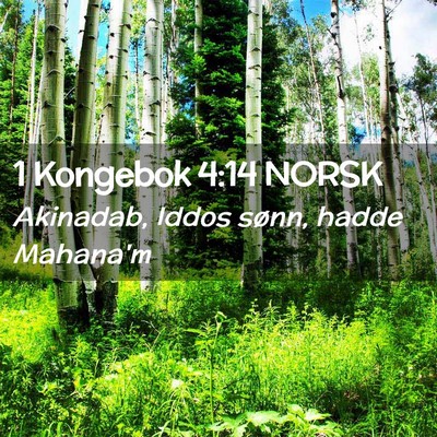 Picture 02 - 1 Kongebok 4:14 NORSK - Akinadab, Iddos sønn, hadde - Bible Verse Picture