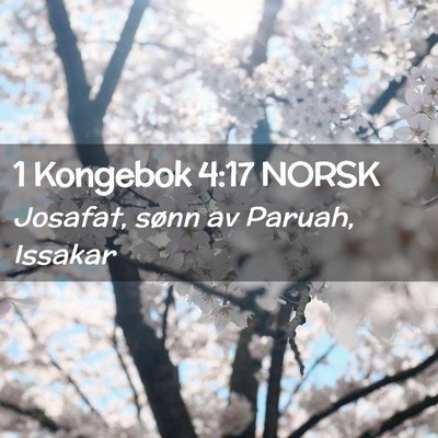 Picture 02 - 1 Kongebok 4:17 NORSK - Josafat, sønn av Paruah, - Bible Verse Picture