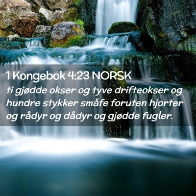 Picture 02 - 1 Kongebok 4:23 NORSK - ti gjødde okser og tyve drifteokser og hundre - Bible Verse Picture