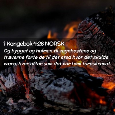 Picture 02 - 1 Kongebok 4:28 NORSK - Og bygget og halmen til vognhestene og traverne - Bible Verse Picture