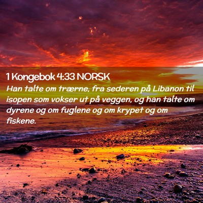 Picture 02 - 1 Kongebok 4:33 NORSK - Han talte om trærne, fra sederen på Libanon til - Bible Verse Picture