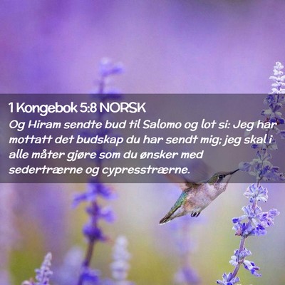 Picture 02 - 1 Kongebok 5:8 NORSK - Og Hiram sendte bud til Salomo og lot si: Jeg har - Bible Verse Picture