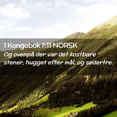 Picture 02 - 1 Kongebok 7:11 NORSK - Og ovenpå der var det kostbare stener, hugget - Bible Verse Picture