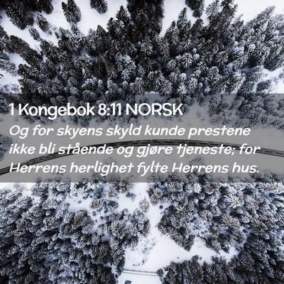Picture 02 - 1 Kongebok 8:11 NORSK - Og for skyens skyld kunde prestene ikke bli - Bible Verse Picture